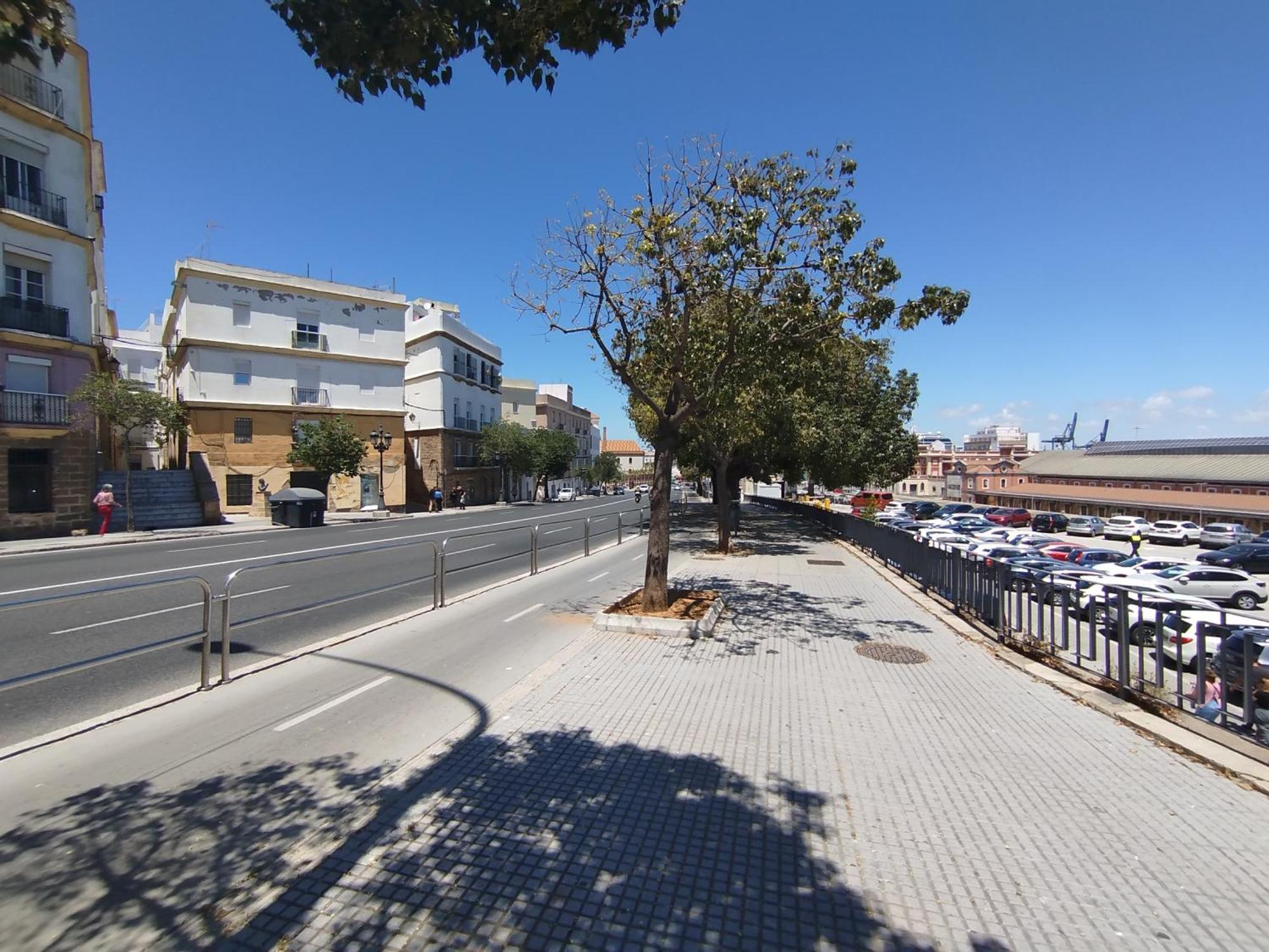 Cadiz Centro Goleta Loft By C.Dreamsアパートメント エクステリア 写真